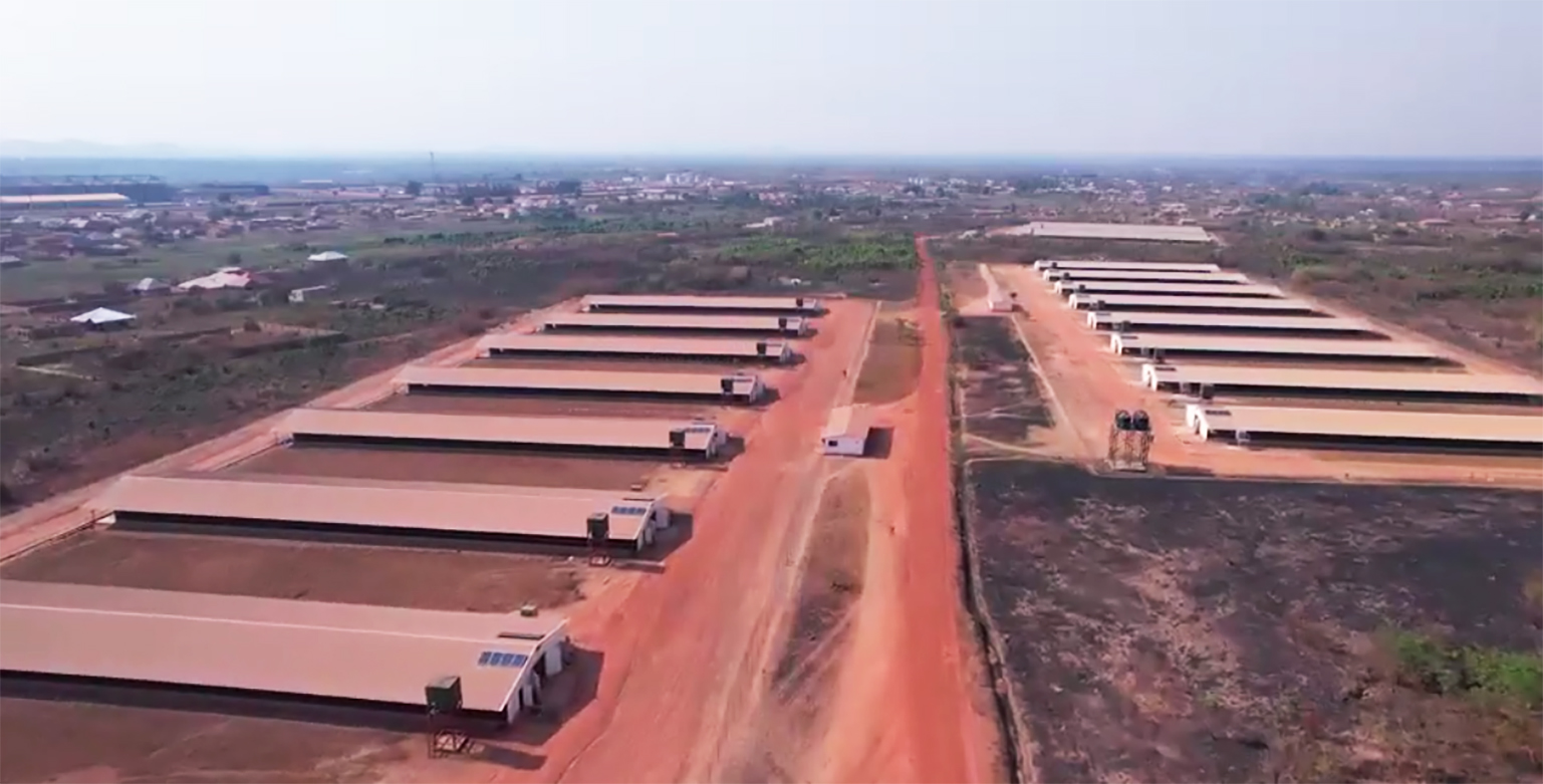 共创中非合作新标杆！Vinmart与bifa88官网电气签订3个非洲光储项目